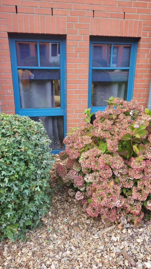 Stadtnah An Der Foerde 116 Flensburg Zewnętrze zdjęcie